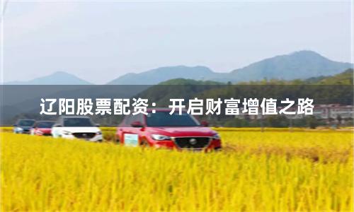 辽阳股票配资：开启财富增值之路