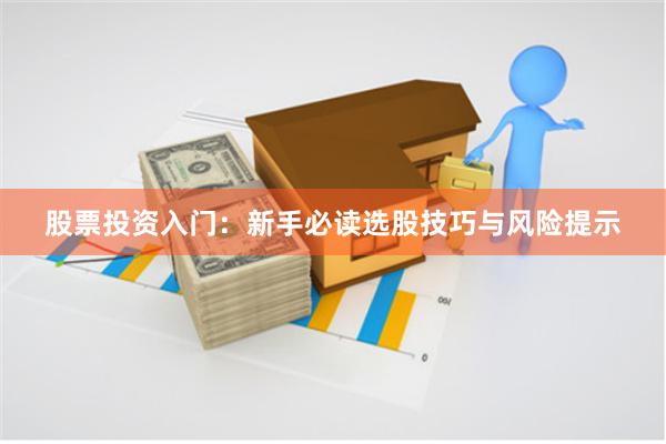 股票投资入门：新手必读选股技巧与风险提示