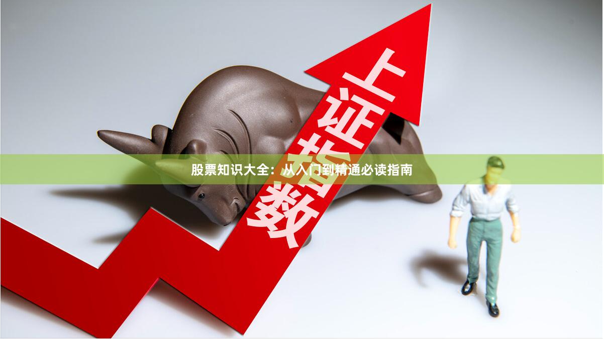 股票知识大全:从入门到精通必读指南